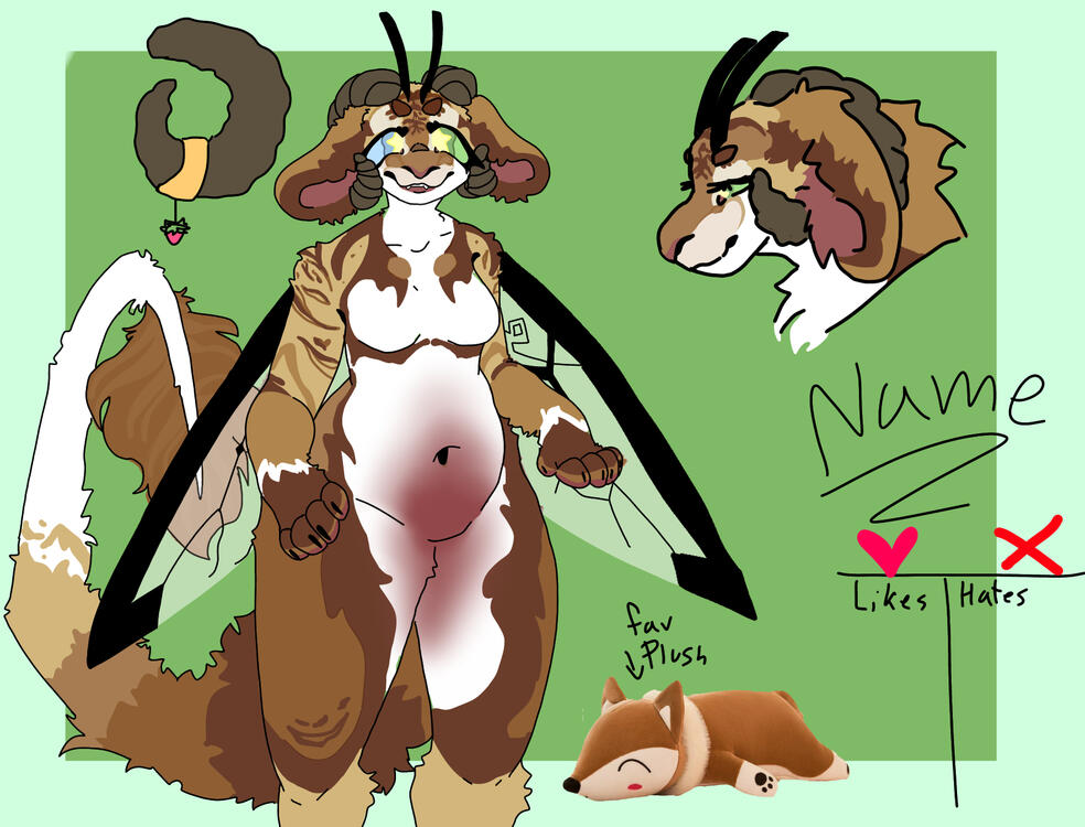 anthro custom